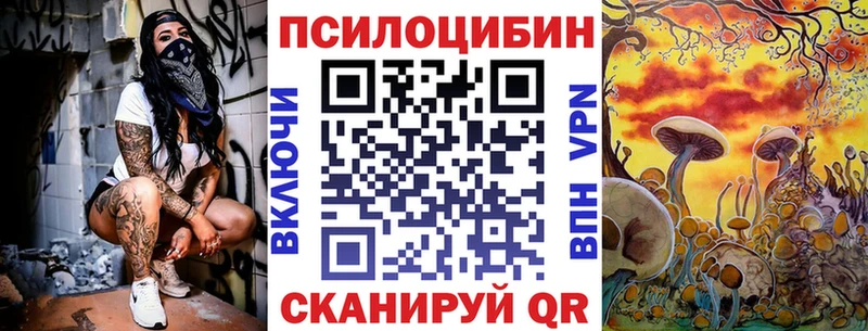 Купить где  Джанкой  Псилоцибиновые грибы Psilocybe 